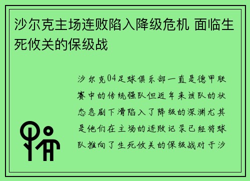 沙尔克主场连败陷入降级危机 面临生死攸关的保级战