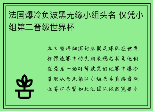 法国爆冷负波黑无缘小组头名 仅凭小组第二晋级世界杯
