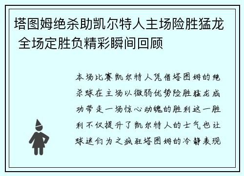 塔图姆绝杀助凯尔特人主场险胜猛龙 全场定胜负精彩瞬间回顾